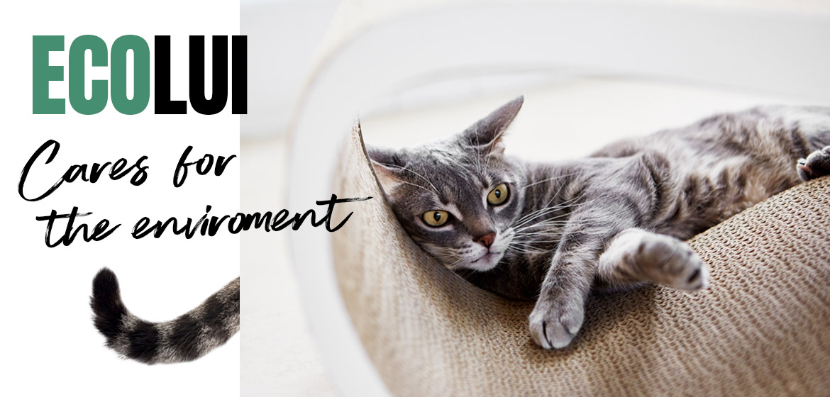 LUI Cat Scratcher & Lounge from MyKotty – hauspanther