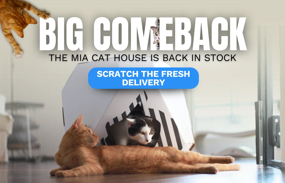 MIA cathouse