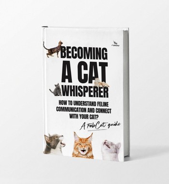 ebook Becoming a cat whisperer. 