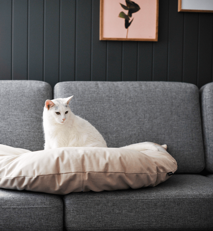 EMI beige Cat Bed