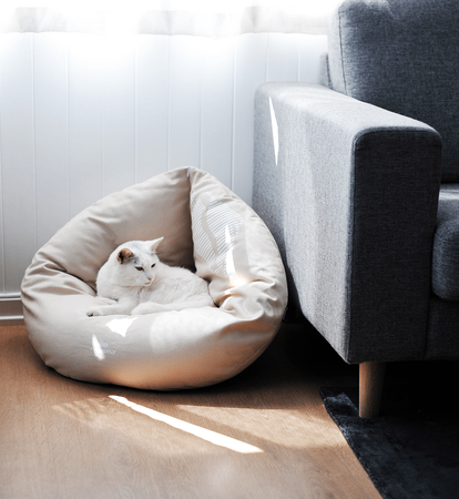 EMI Cat Bed + PADI pillow