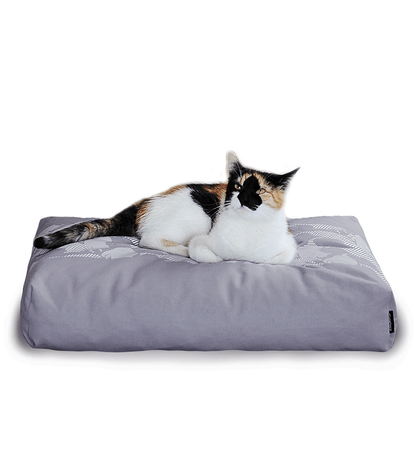 EMI Cat Bed + PADI pillow