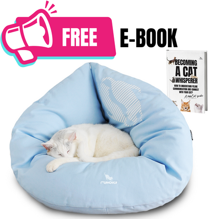 EMI blue Cat Bed