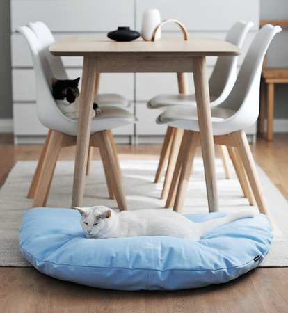 EMI blue Cat Bed