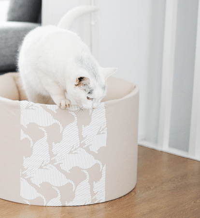 OTI beige Cat Bed