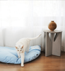 EMI blue Cat Bed