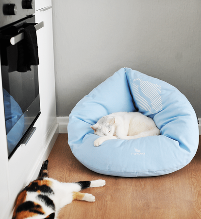 EMI blue Cat Bed