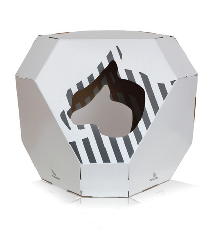 MIA house with cardboard mat