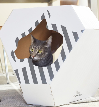 MIA house with cardboard mat