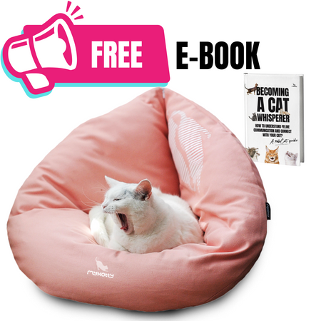 EMI rose Cat Bed