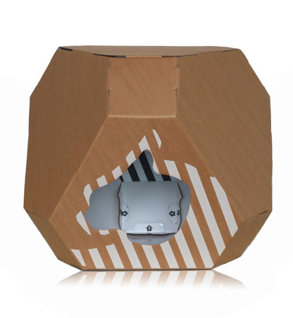 MIA house with cardboard mat