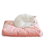 EMI Cat Bed + PADI pillow