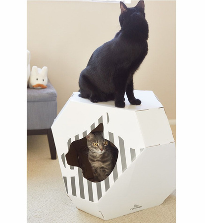 MIA house with cardboard mat