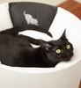 OTI white Cat Bed