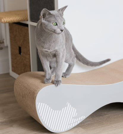 Scratcher VIGO grey